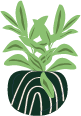 w.png